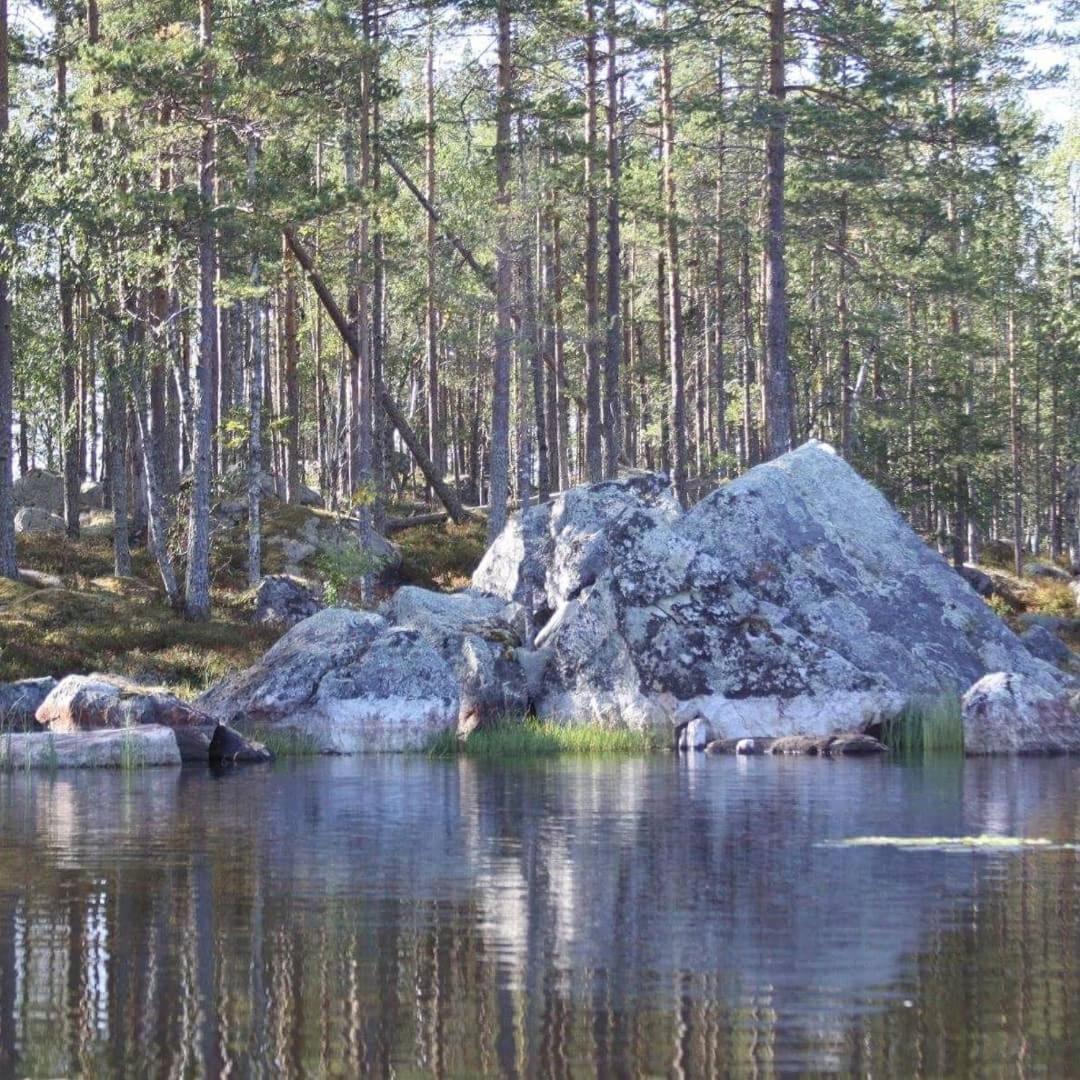 Hamra Stugby - Nature Adventures Hamra Exterior photo